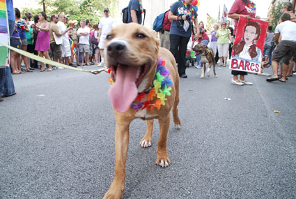 #175 of 427 : 2010-06-24_1421_57392.jpg