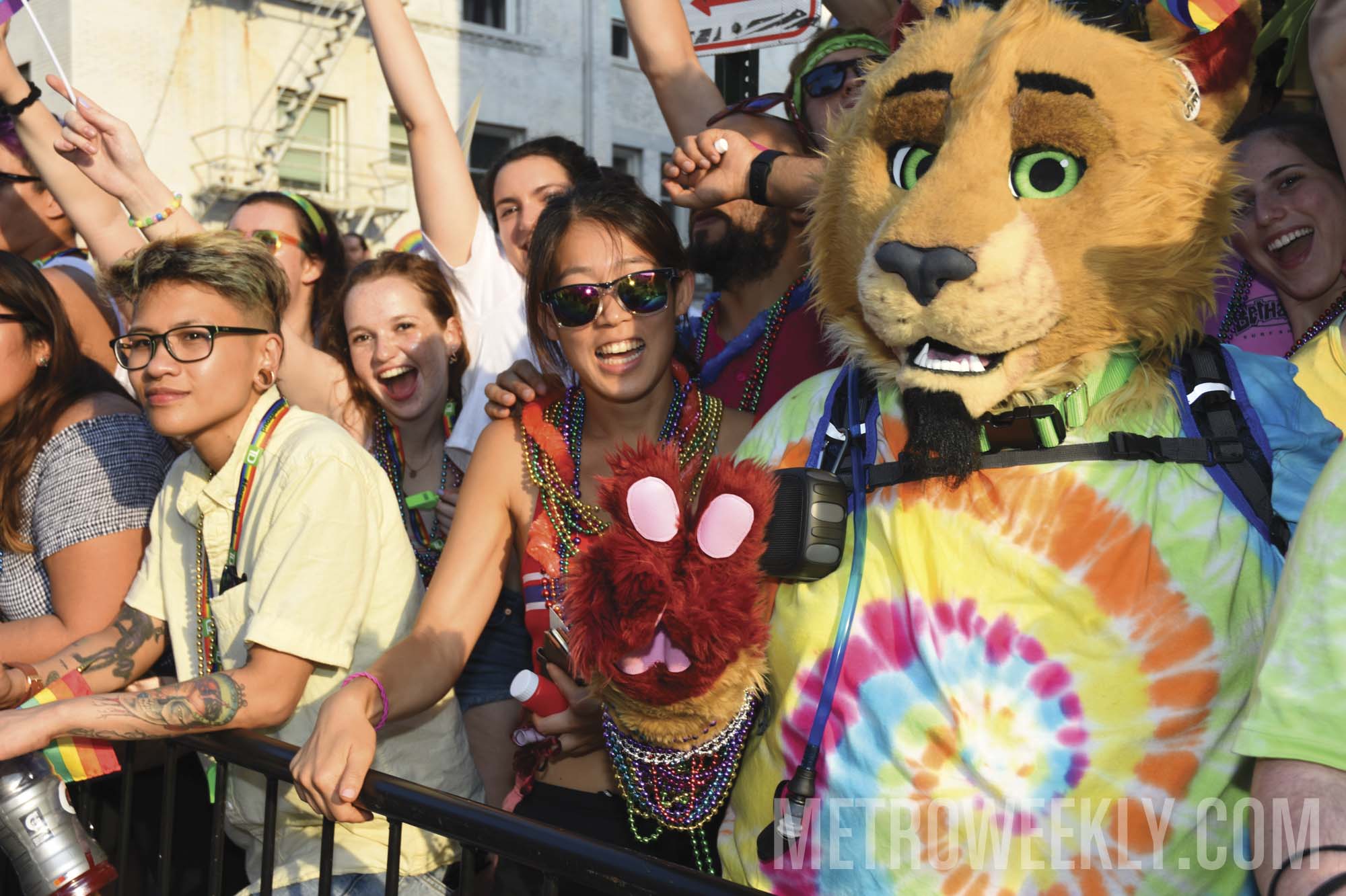 #29 of 876 : 2018-06-15_2526_142780.jpg