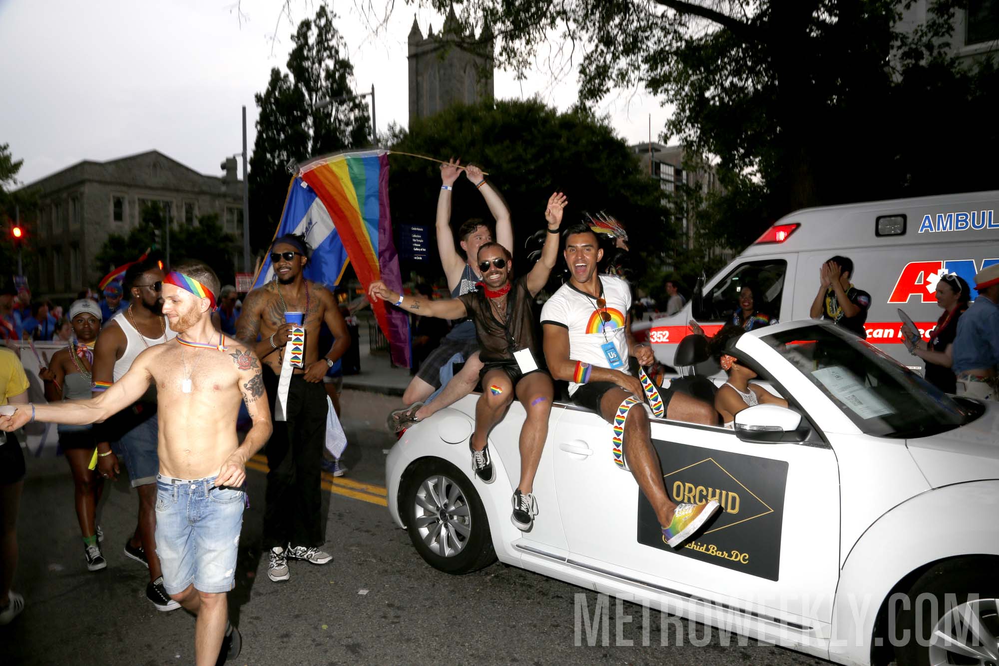 #193 of 876 : 2018-06-15_2526_142944.jpg