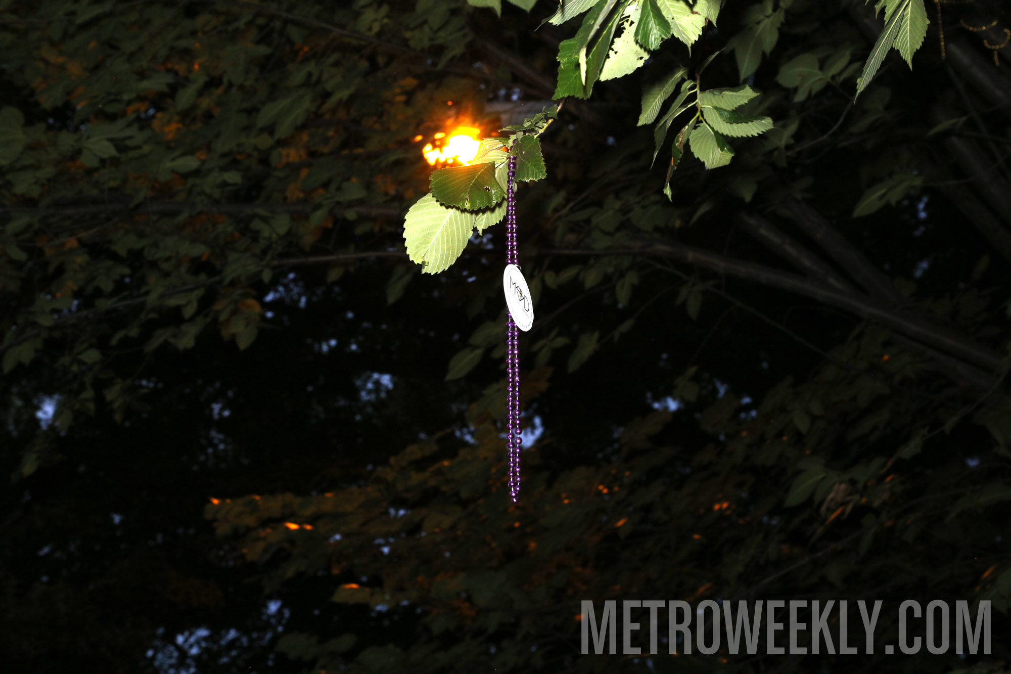 #198 of 876 : 2018-06-15_2526_142949.jpg