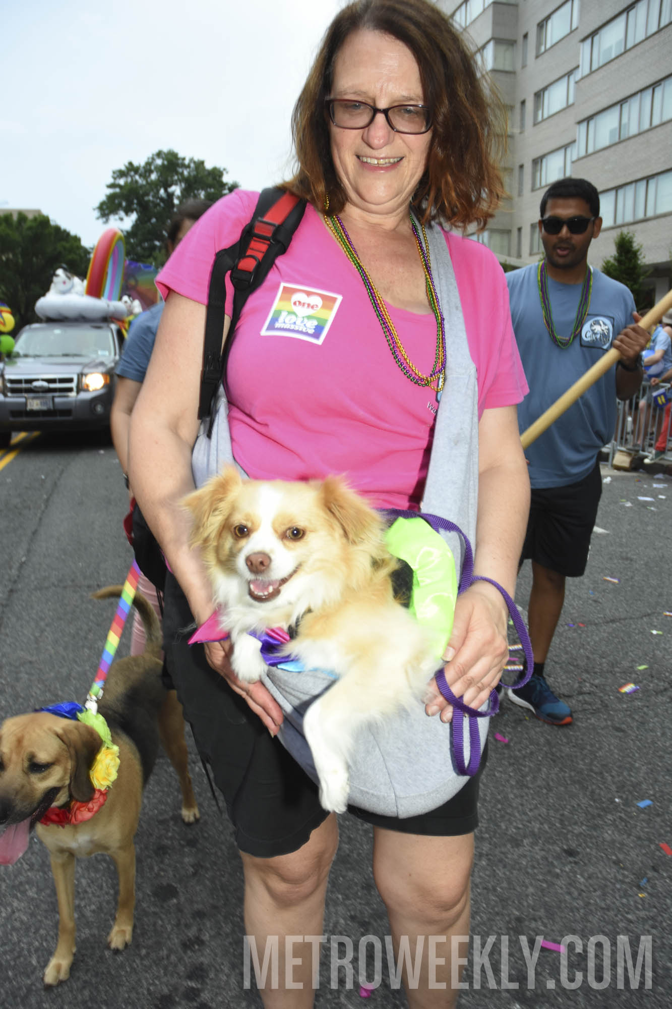 #320 of 876 : 2018-06-15_2526_143071.jpg