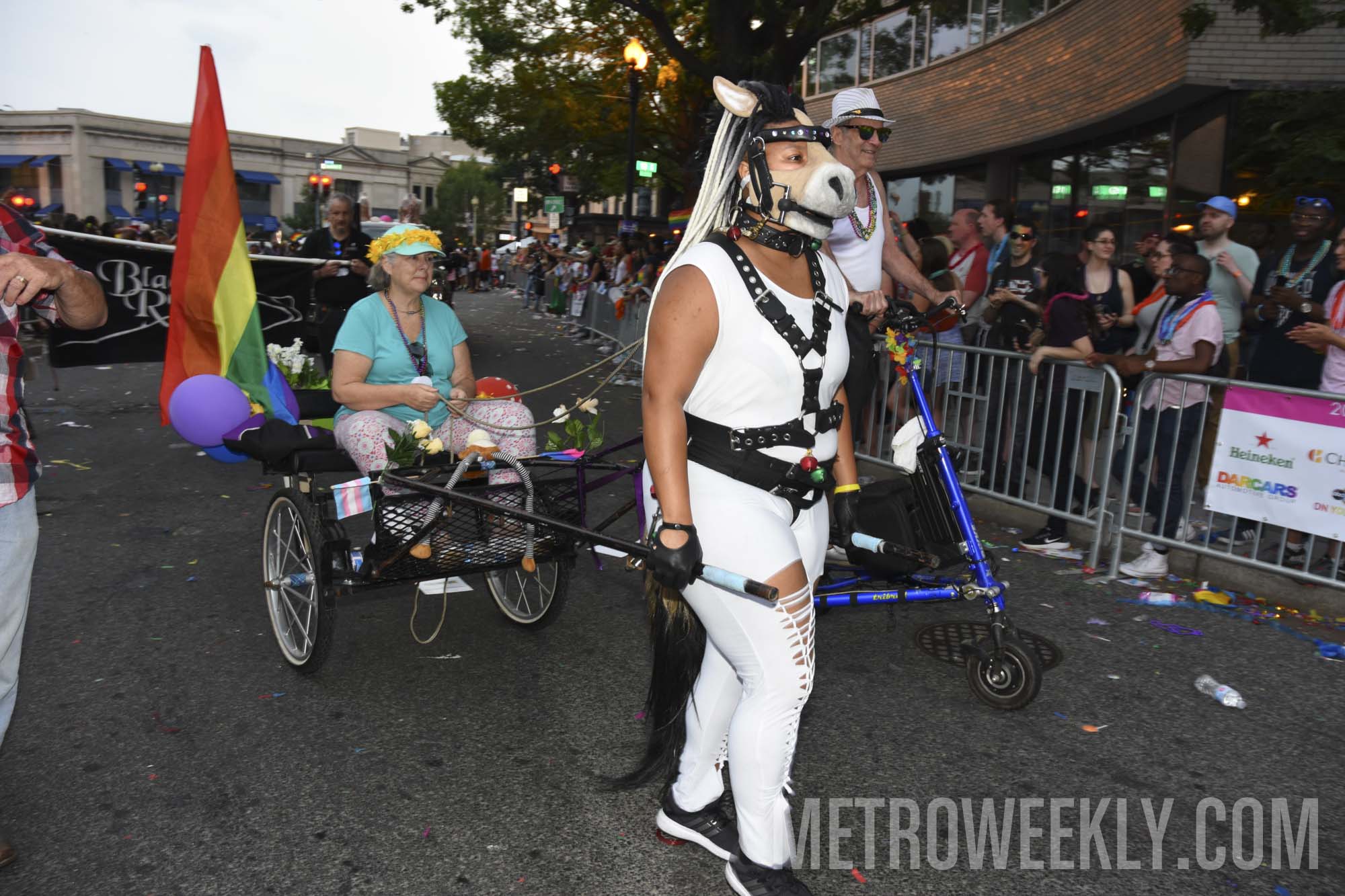 #331 of 876 : 2018-06-15_2526_143082.jpg