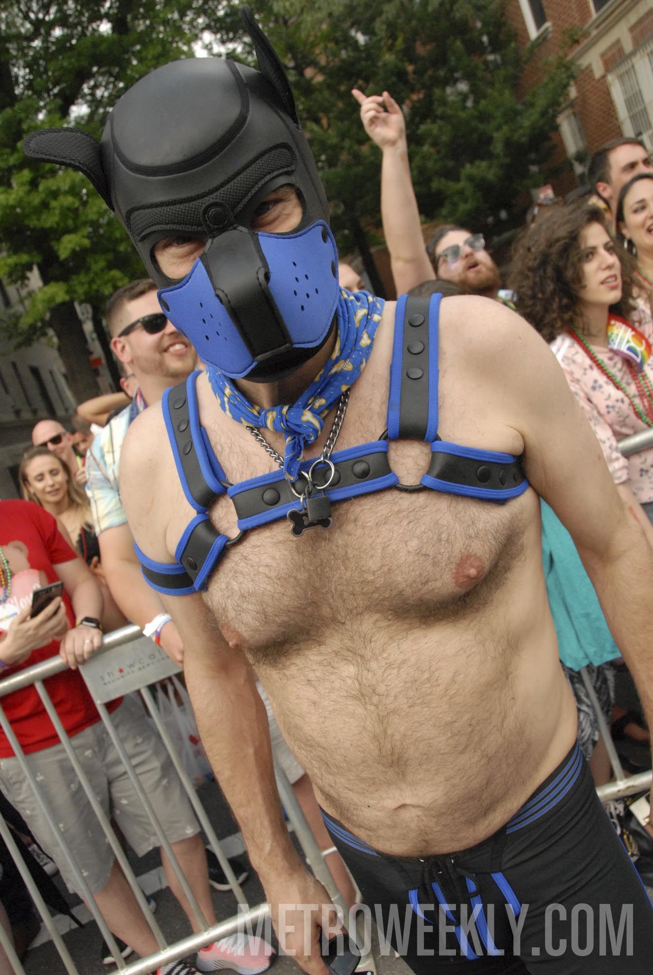 #601 of 876 : 2018-06-15_2526_143352.jpg