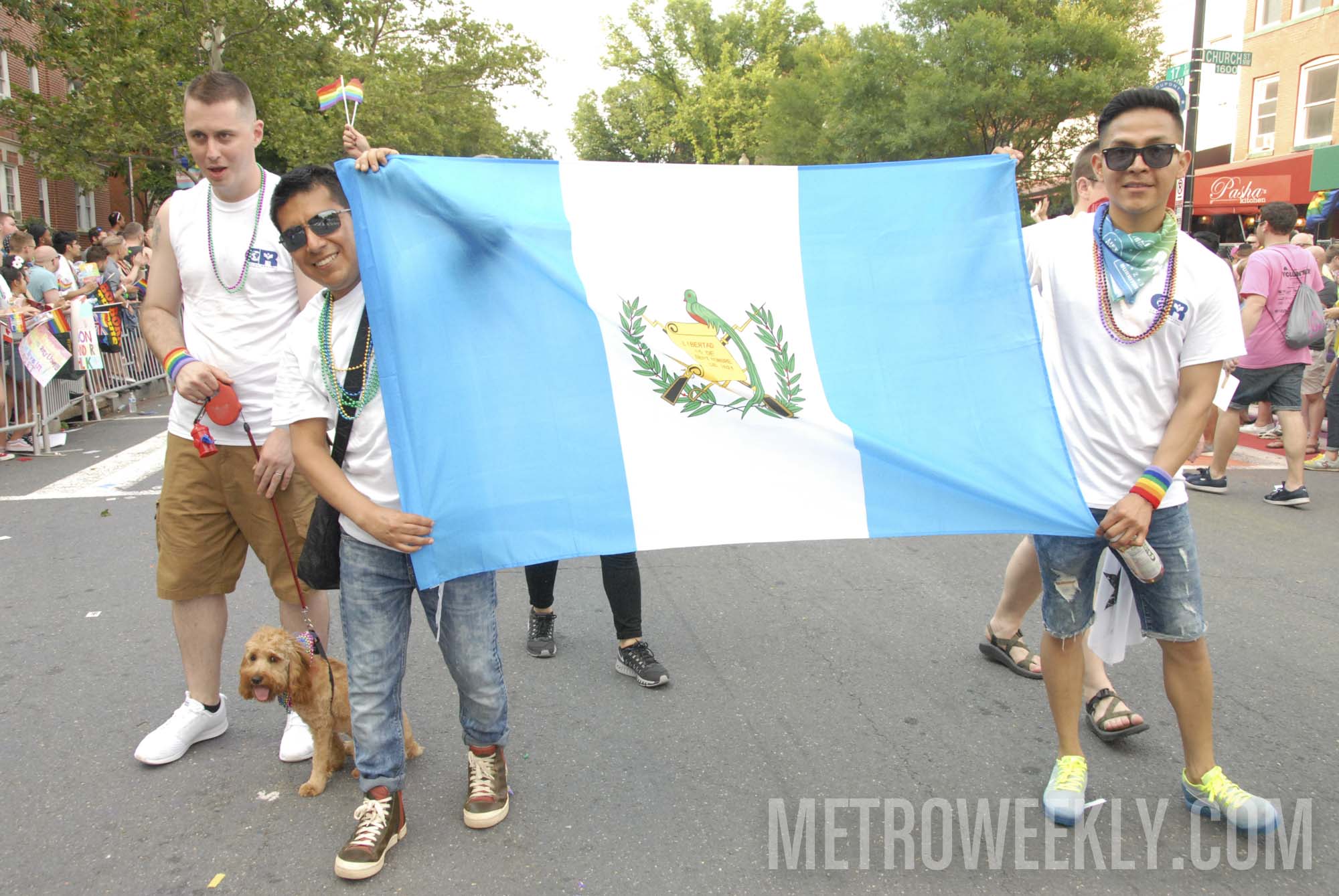 #742 of 876 : 2018-06-15_2526_143493.jpg