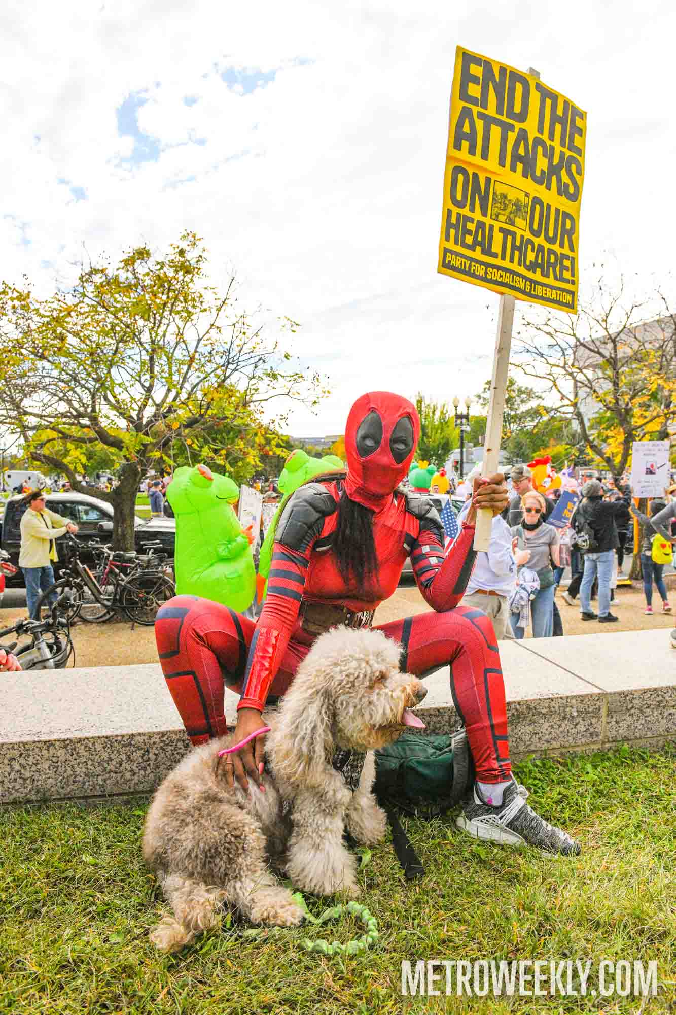 #121 of 147 : 2025-10-23_3013_178474.jpg