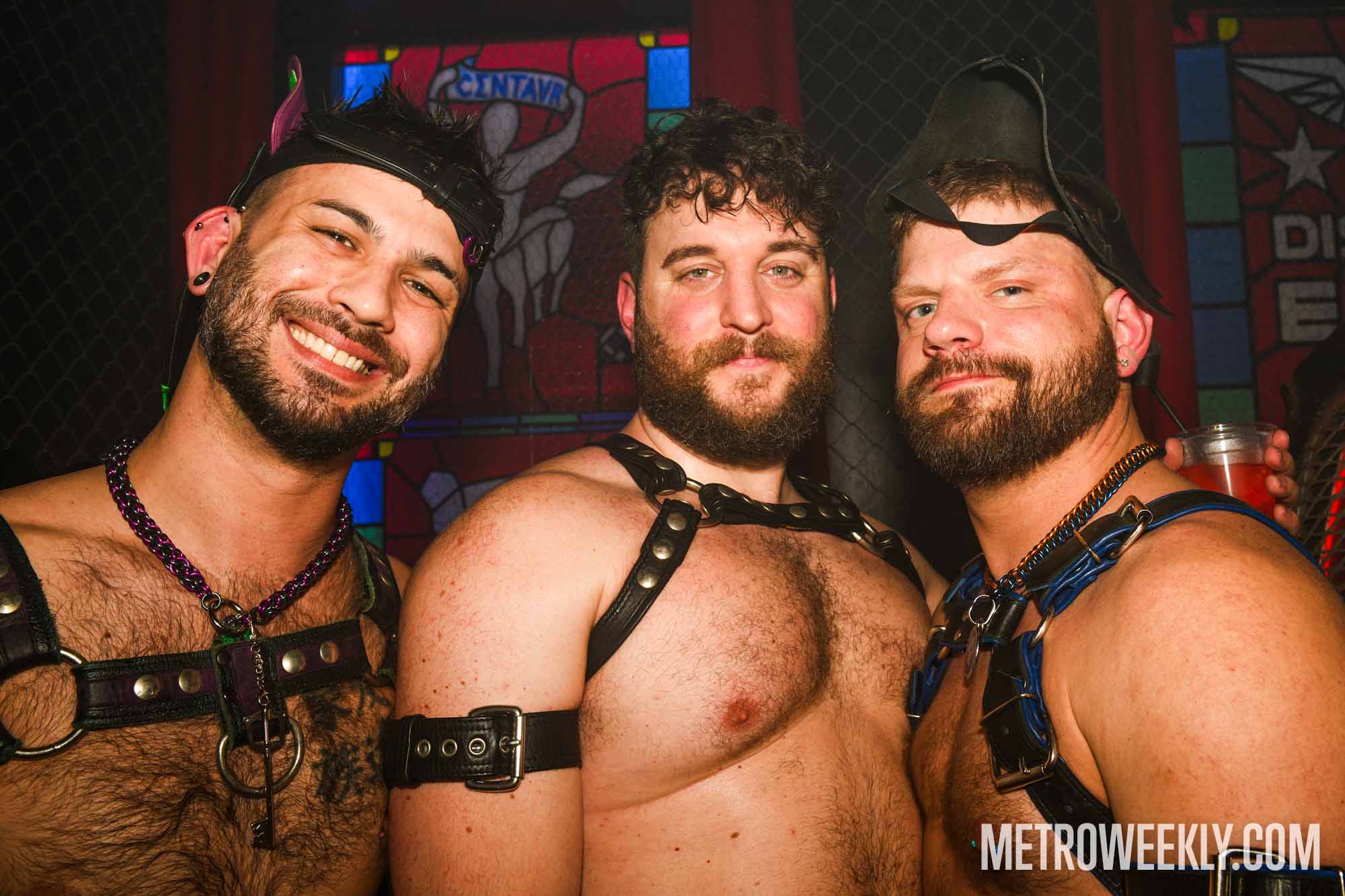 #10 of 81 : 2026-01-21_3025_179105.jpg