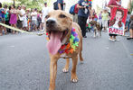 Baltimore Pride Parade and Street Festival #175