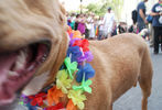 Baltimore Pride Parade and Street Festival #176