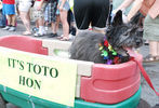 Baltimore Pride Parade and Street Festival #178