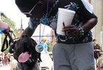 Baltimore Pride Parade and Street Festival #202