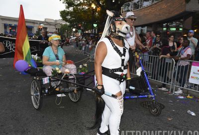 Capital Pride Parade 2018 #331