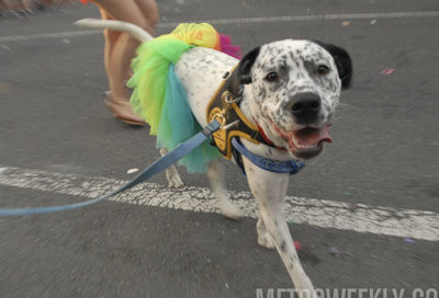 Capital Pride Parade 2018 #422